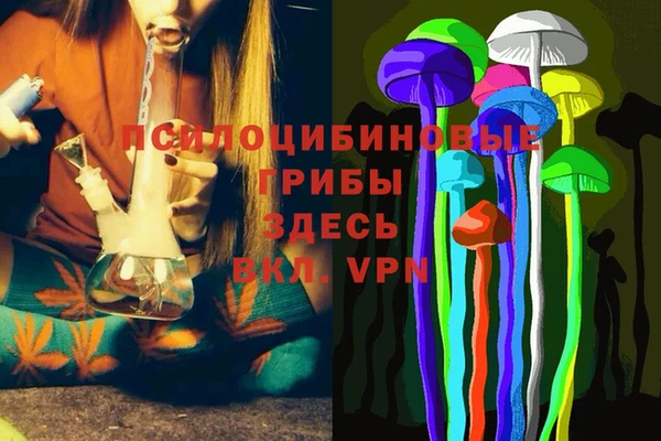кокс Каменка
